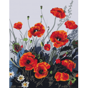 Картина за номерами "Барвисті маки" Art Craft