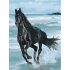 Картина по номерам "Черная лошадь", Brushme Картина по номерам "Черная лошадь", Brushme