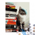 Кот-читайлик картина по номерам, Brushme Кот-читайлик картина по номерам, Brushme
