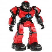 Робот на радіокеруванні Плуто, ZHORYA